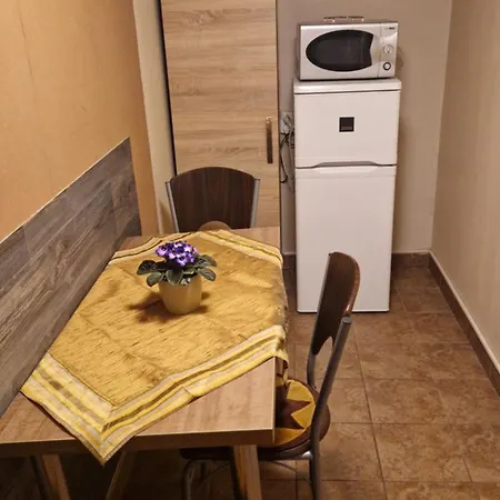 Splendor With Privat Parking * Debrecen